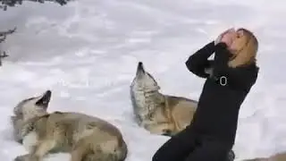 Волчий вой