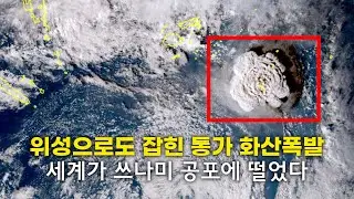 통가 해저화산 폭발, 새벽에 자다 말고 깨어나 대피한 일본 시민들