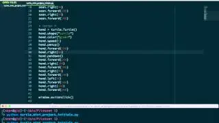 Udacity - Turtle Mini Project
