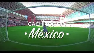 Cachitos de México 105º aniversario del Club Toluca ⚽