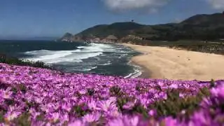 Montara State Beach California