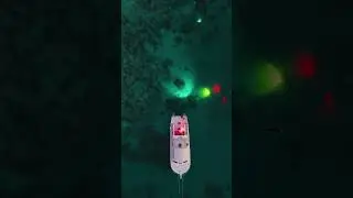 #NightDives with the UV Glo Lights