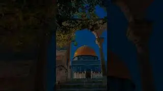 #standwithPalestine فلسطین