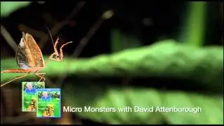 David Attenborough's Micro Monsters | DVD Preview