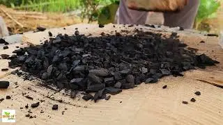 How to Make Your Soil Richer Than Ever—No More Dull Gardens!