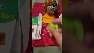 Mango Bars for maddog #ASMR #satisfying sounds #viral dog #shorts (5)