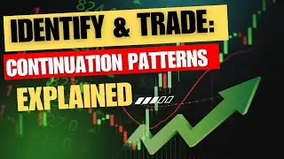 How to Spot and Trade Bullish & Bearish Flag Patterns: A Comprehensive Guide.