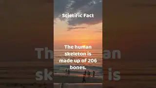 Scientific Fact Check 