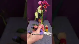Как укоренить розы из букета