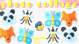 Photo Collage Using Python 😍 | Step by Step Tutorial for Beginners