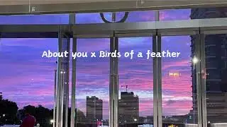 about you x birds of a feather - full track extended version tiktok viral