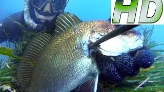 PESCA SUB IN BASSO FONDALE 3 CONSIGLI