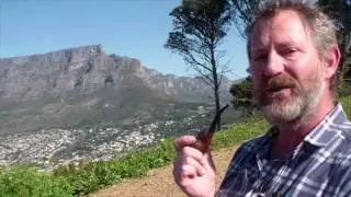 [HD] My take on Pipe Smoking and Health