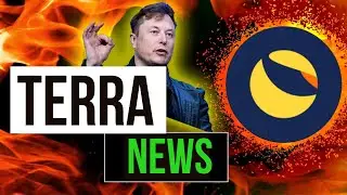Terra Expectations: What do you think is going to happen with the future of earth?
