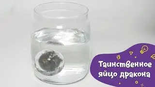 Таинственное яйцо дракона