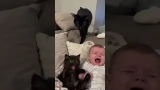 #cat