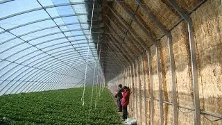 स्ट्रॉ पुआल घर की इमारत  / Straw straw house building