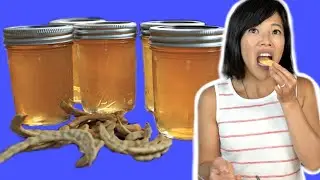 Poor Man's Honey -- MESQUITE BEAN Jelly Recipe & Taste Test