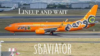Line Up and Wait: sbaviator