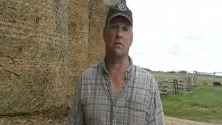 MOV077