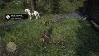 А МЫ ПОЙМАЛИ ВЭЙГАНА АРТУР ВЕГОТАРИАНЕЦ ► Red Dead Redemption 2 #10