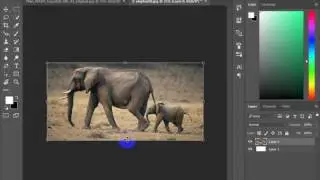 how to scale image in photoshop
