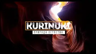 KURINUKI. ПРИРОДА ЕСТЕСТВА. МАСТЕР-КЛАСС ДЛЯ ВЗРОСЛЫХ И ДЕТЕЙ!!!