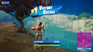 Fortnite first Win