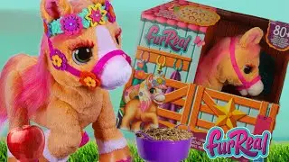 FurReal Cinnamon, My Stylin' Pony from Hasbro Review | FurReal Pony | Toy Horse