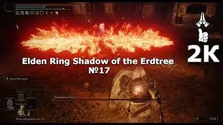 Elden Ring Shadow of the Erdtree №17. Тесты оружия, как найти и получить парные клинки танцора.
