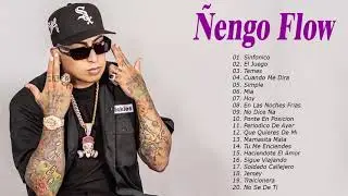Ñengo Flow Exitos - Ñengo Flow Sus Mejores Éxitos MIX