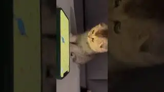 #cute 🤭