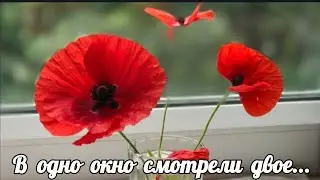 В одно окно смотрели двое...