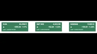 RALLY Small Caps | Earnings EL PANW
