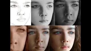Digital Painting Hyper-Realism (freehand) in Photoshop