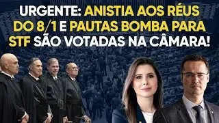 Anistia aos presos do 8/1 e pauta bomba para STF: live com Carol de Toni