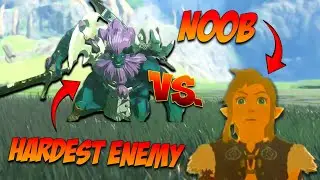 how fast can a Zelda NOOB defeat ALL LYNEL in TOTK!?