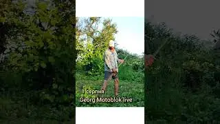 🇺🇦УКРАЇНА ☀️РАНОК 
