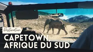 Cape Town Vlog (Ep.02) | Les  incontournables de la ville du Cap en Affique du Sud