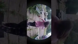 3 июля 2024 г.