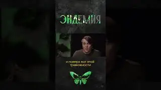 Бред Тимура I Игровое шоу "Эндемия"