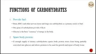 Chapter 4: carbohydrates, proteins and fats