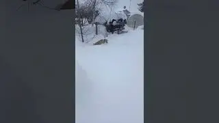 Полноприводная собака