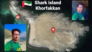 Shark island | Khorfakkan | Sharjah | UAE