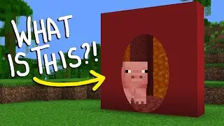 Minecraft's Most Confusing Mod