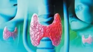 Щитовидная железа   батарейка нашего организма
