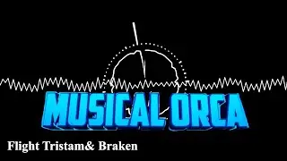 Musical Orca Intro Song! - Flight