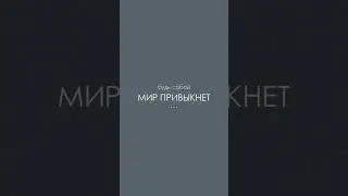 Funny motivation #shorts #цитата #цитаты #poem #poetry #цитатадня #цитатысосмыслом #мотивация