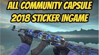 CS:GO | ALL Community Capsule 2018 Sticker INGAME | Community Capsule 2018 Sticker Combination