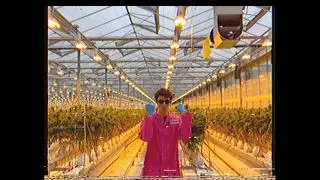 EZ Ice – Wanted More (Official Music Video)